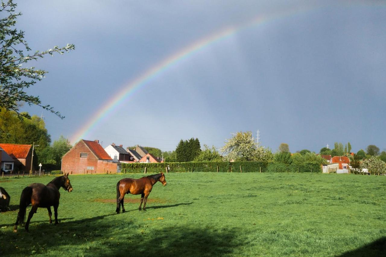 Gite Rural Les Petites Tetes Leuze-en-Hainaut Zewnętrze zdjęcie