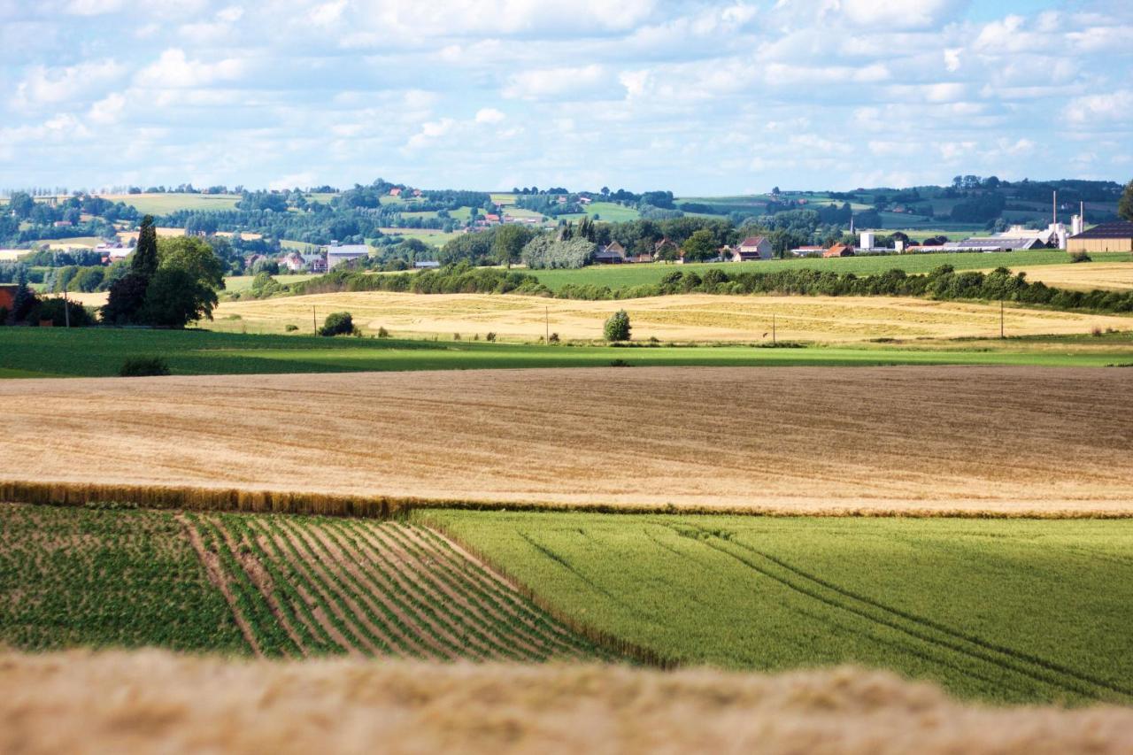 Gite Rural Les Petites Tetes Leuze-en-Hainaut Zewnętrze zdjęcie