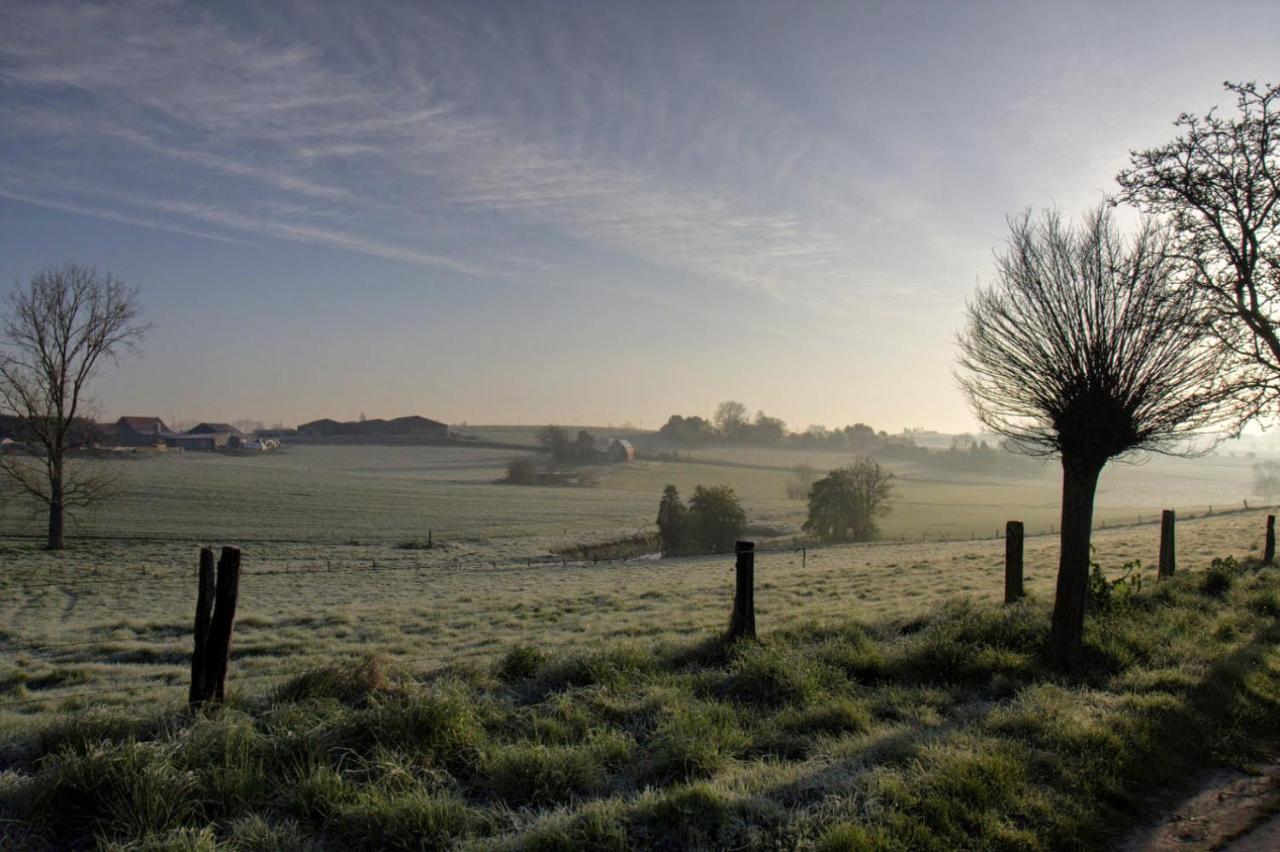 Gite Rural Les Petites Tetes Leuze-en-Hainaut Zewnętrze zdjęcie