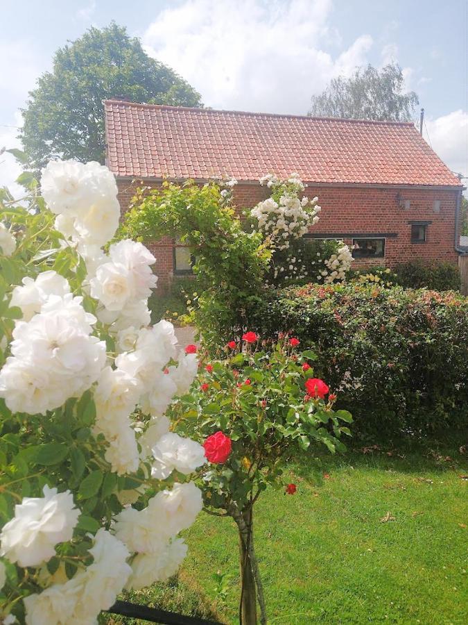 Gite Rural Les Petites Tetes Leuze-en-Hainaut Zewnętrze zdjęcie